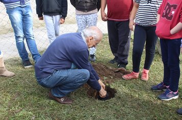 Prefeito Chola planta árvores na escola Getúlio Vargas