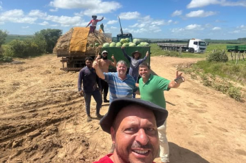 A melancia está pronta para a grande festa