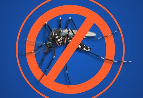 DENGUE MATA – A LUTA COMEÇA NA ESCOLA! 